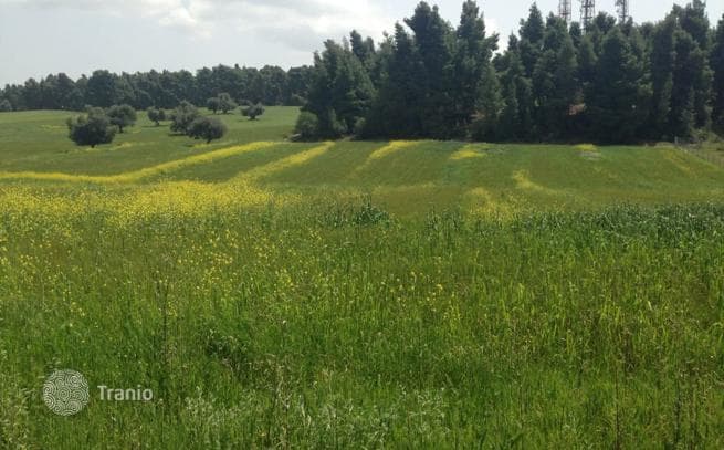 Land Plot with Mountain Views in Kassandra, photo 3