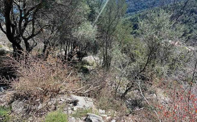 Land Plot in Josice, Herceg Novi, photo 2