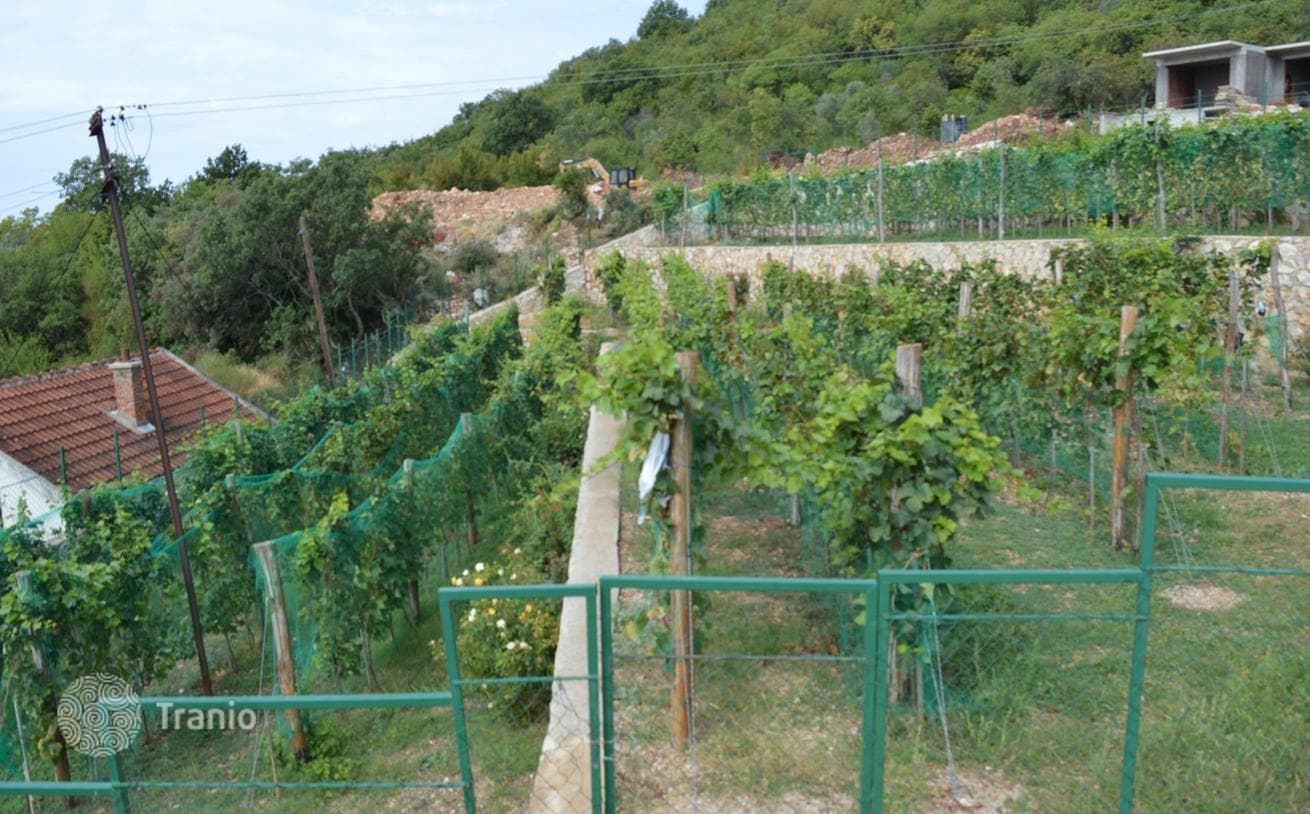 3-Bedroom Villa with Private Pool and Vineyard in Bar, Montenegro, photo 3