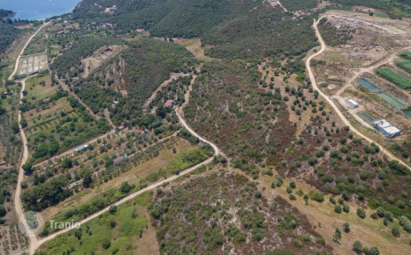Большой земельный участок в 750 метрах от моря, Афон, Греция, фото 3