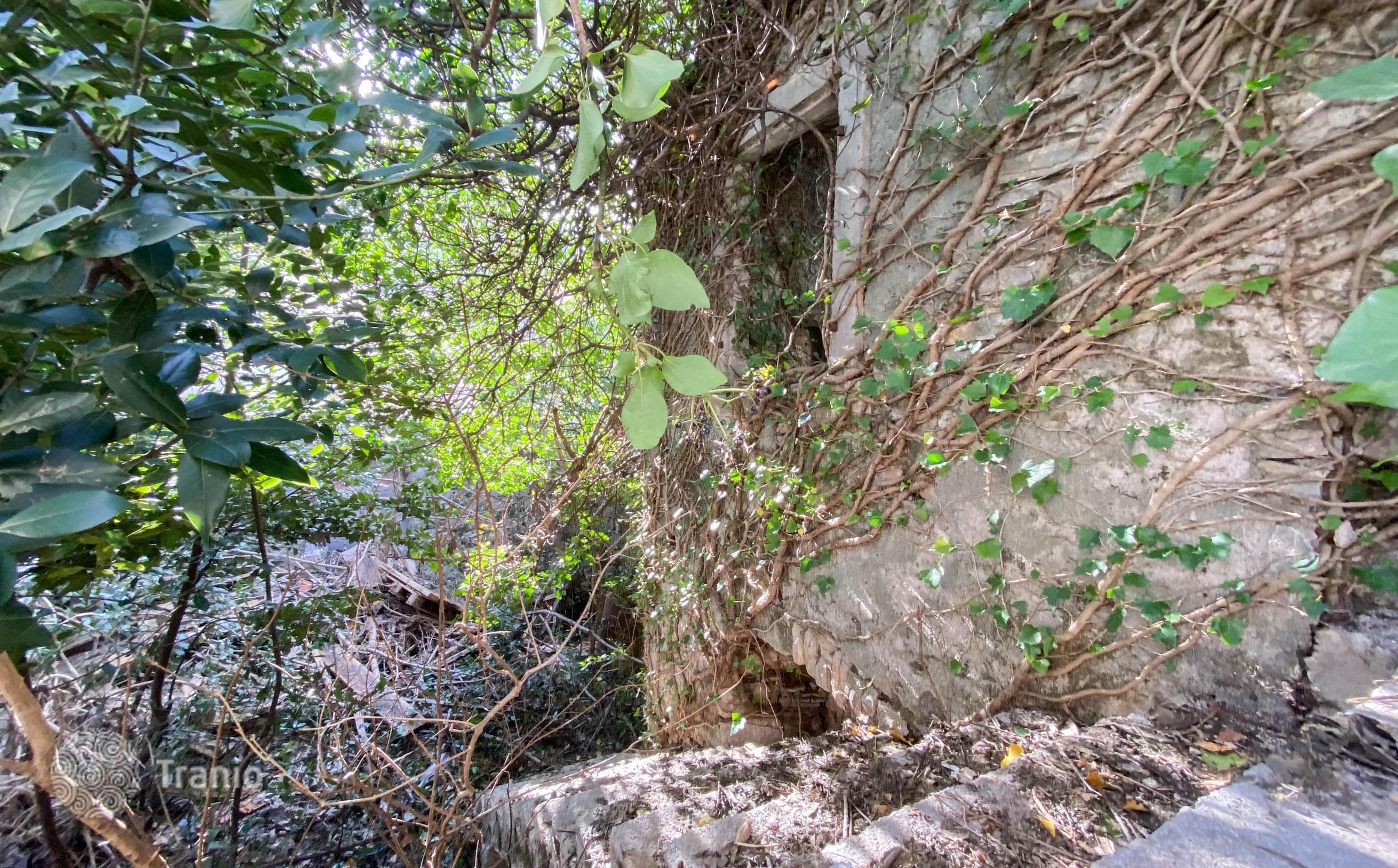 Land Plot in Risan, Montenegro, photo 2