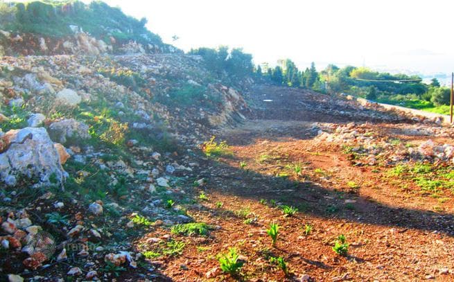Large Land Plot with Sea View in Chania, Crete, photo 5