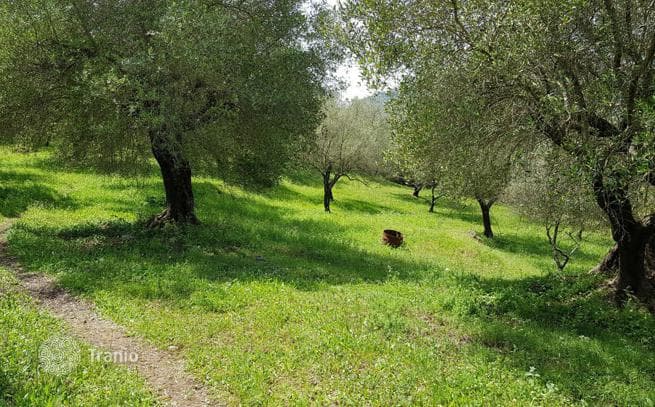 Land Plot in Corfu, photo 4