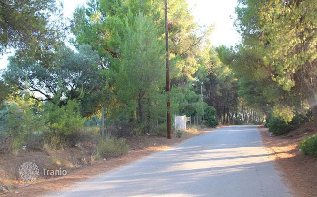 Land Plot in Ormylia, Greece, photo 2