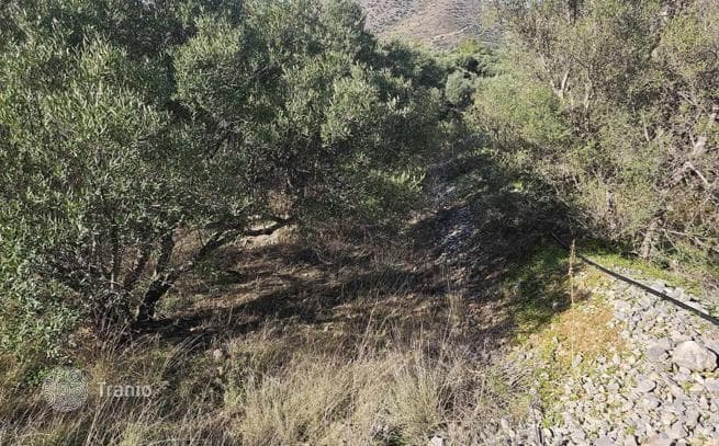 Land Plot in Ierapetra, Crete, photo 3
