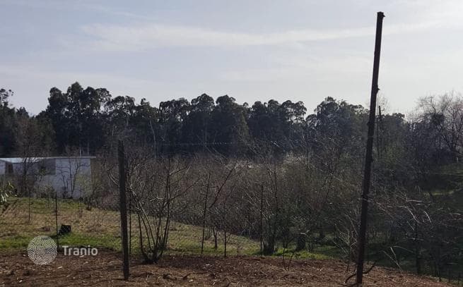 Land Plot with Mountain View in Chakvi, photo 4