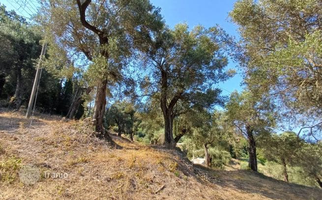 Land Plot with Sea View in Agios Georgios, Corfu, photo 2