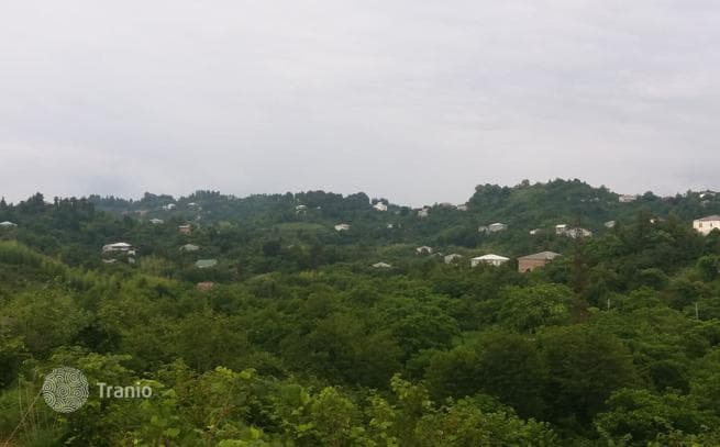Красивый участок в горах недалеко от моря и города Батуми, фото 2