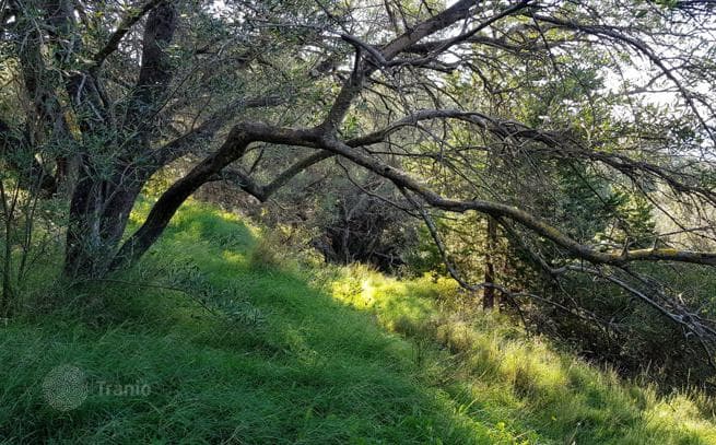 Land Plot with Sea View in Pentati, Corfu, photo 5