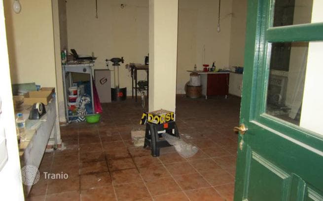 Spacious House with Garden in Sepolia, Athens, photo 3