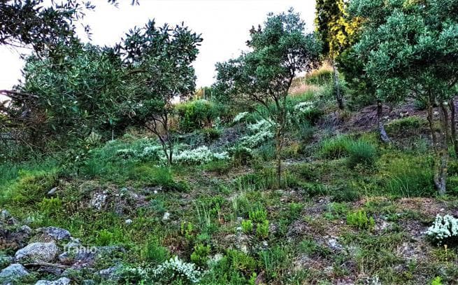 Land Plot in Trumbetas, Corfu, photo 2