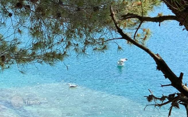 3-Bedroom Apartment in Pula, Croatia, photo 2