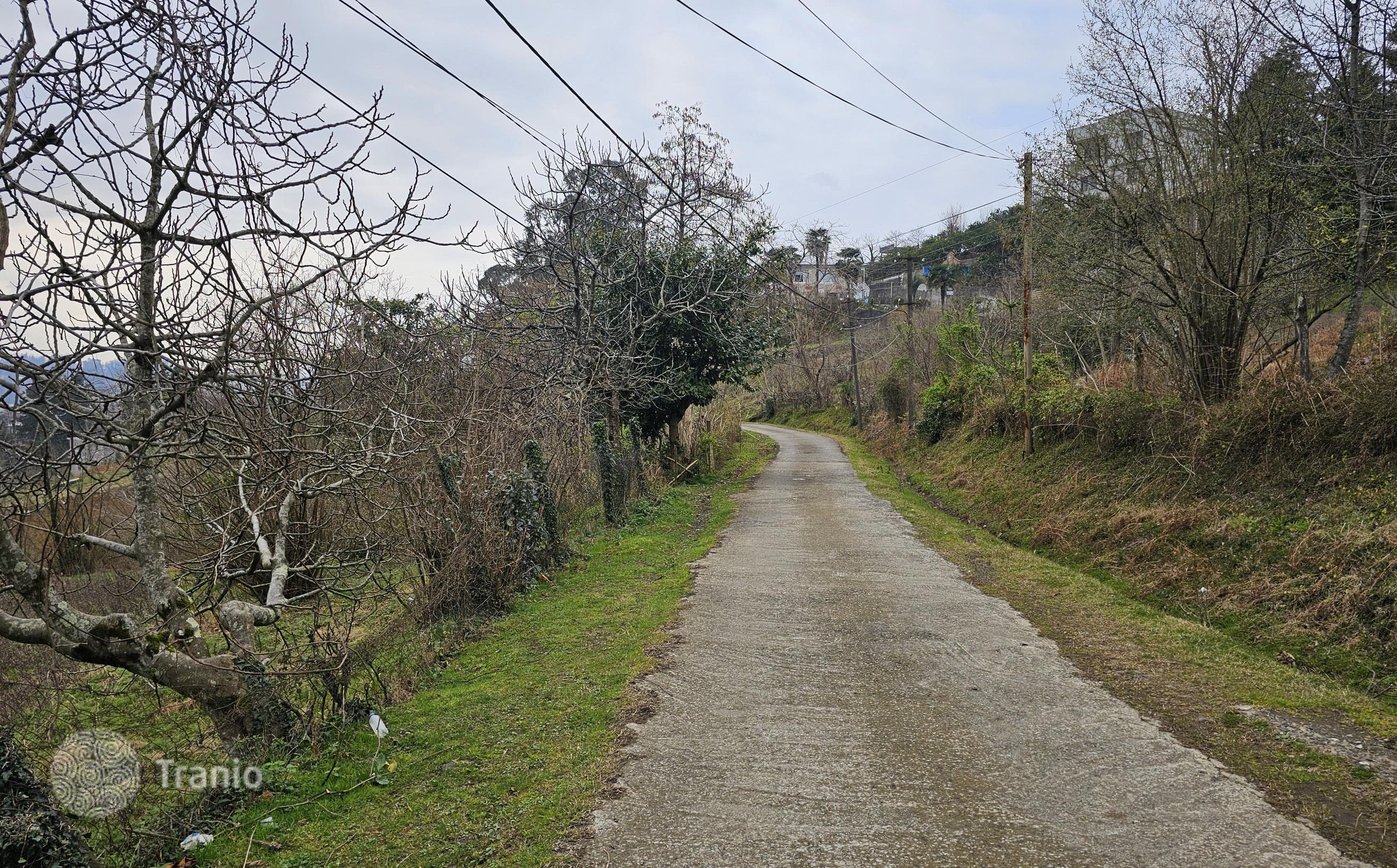 Land Plot with Sea and City Views in Batumi, Georgia, photo 2