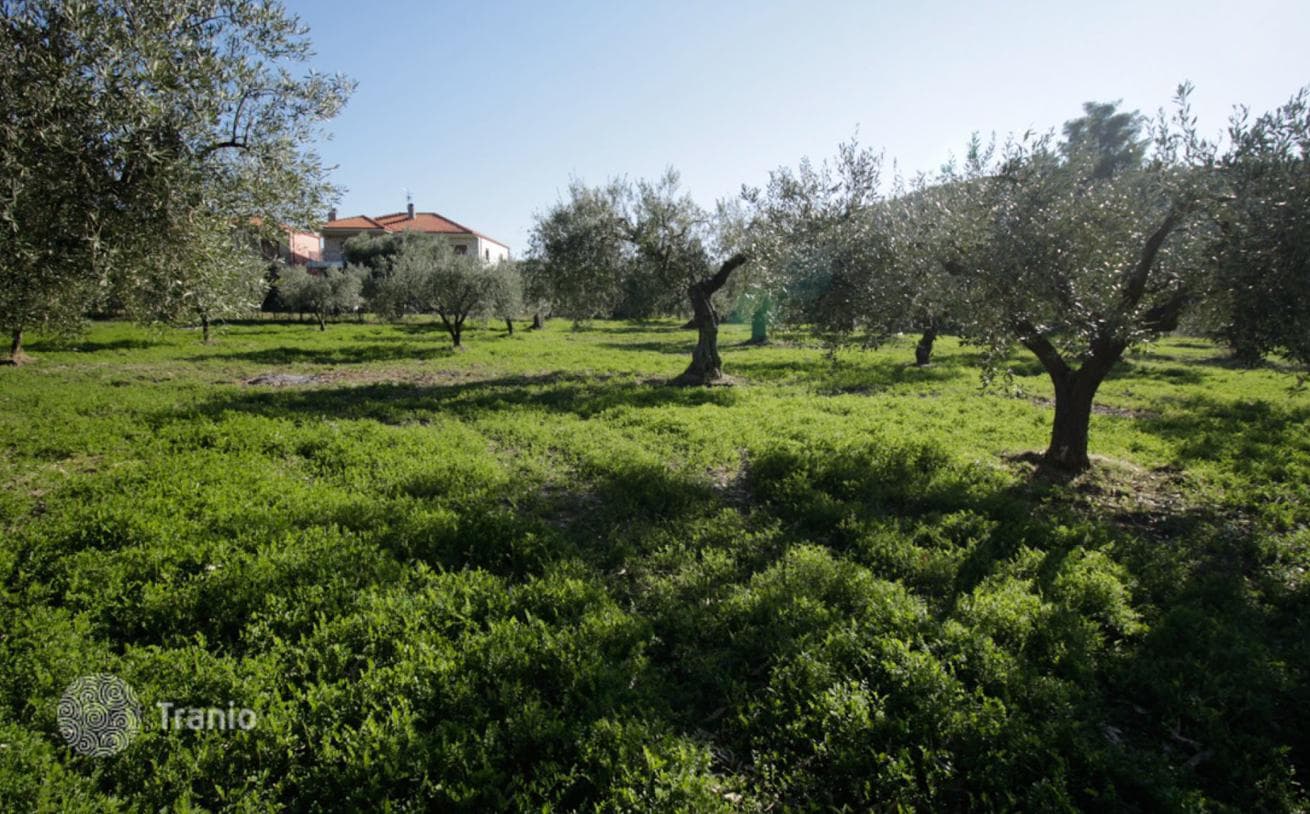 2,800 m² Beachfront Land Plot with Sea and Mountain Views in Kassandra, Halkidiki, photo 4