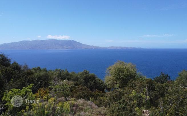 Beachfront Land Plot with Olive Grove and Building Permission in Kissamos, Crete, photo 4