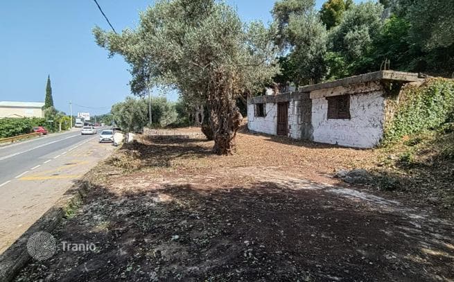 Land Plot Near the Sea in Zeleni Pojas, Bar, photo 4