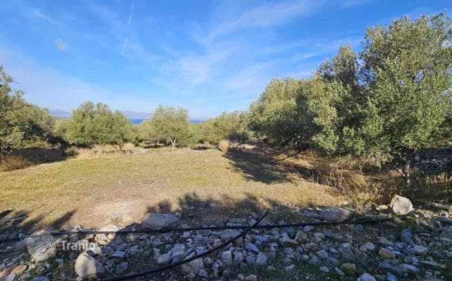 Land Plot in Ierapetra, Crete, photo 4