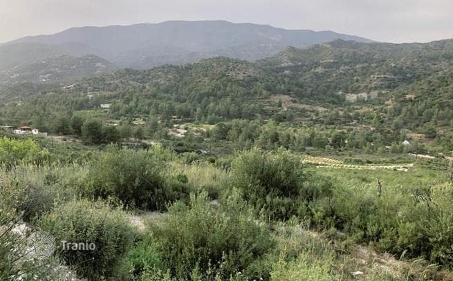 Land Plot in Troodos, Cyprus, photo 2