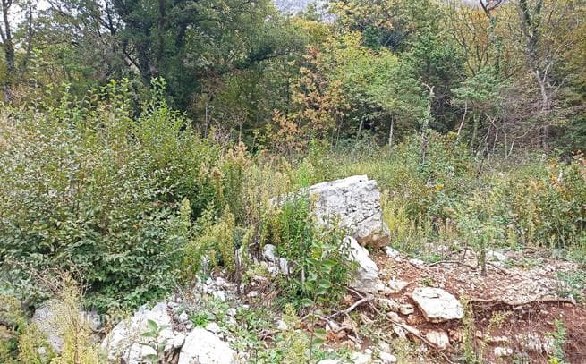 Land Plot with Sea View in Bijela, Montenegro, photo 5