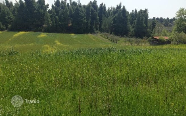 Land Plot with Mountain Views in Kassandra, photo 2