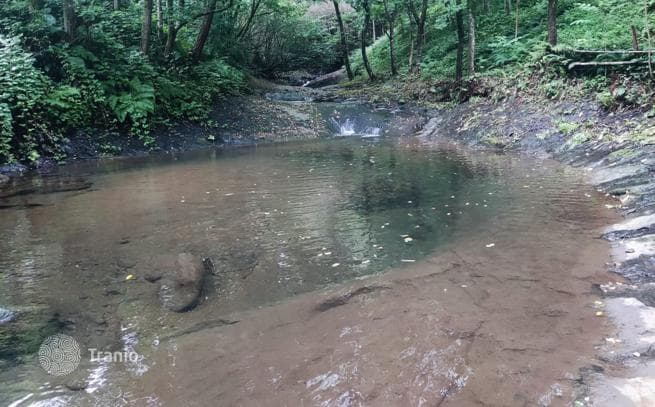 Land Plot in Forest near Batumi, Chakvi, photo 4