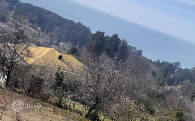 Land Plot with Sea View in Tskhilkitskhi, Adjara, photo 4