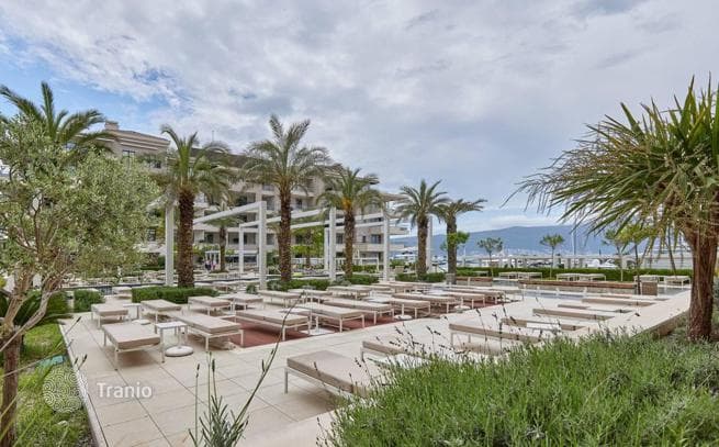 3-Bedroom Apartment with Terrace Views in Tivat, photo 4