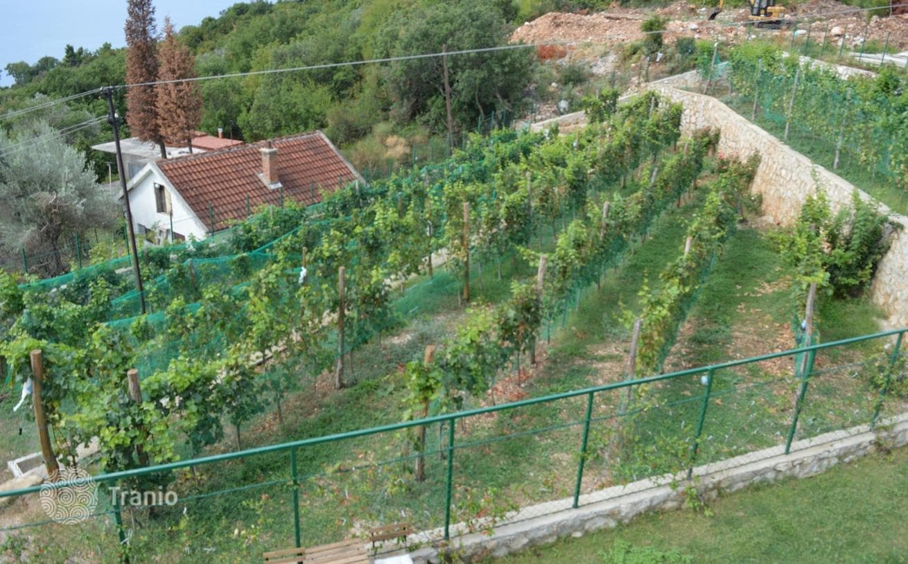 3-Bedroom Villa with Private Pool and Vineyard in Bar, Montenegro, photo 4