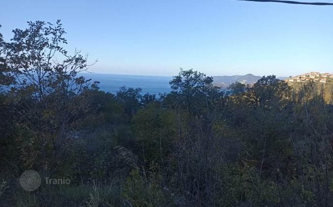 Large Land Plot for Development in Blizikuche, Montenegro, photo 2