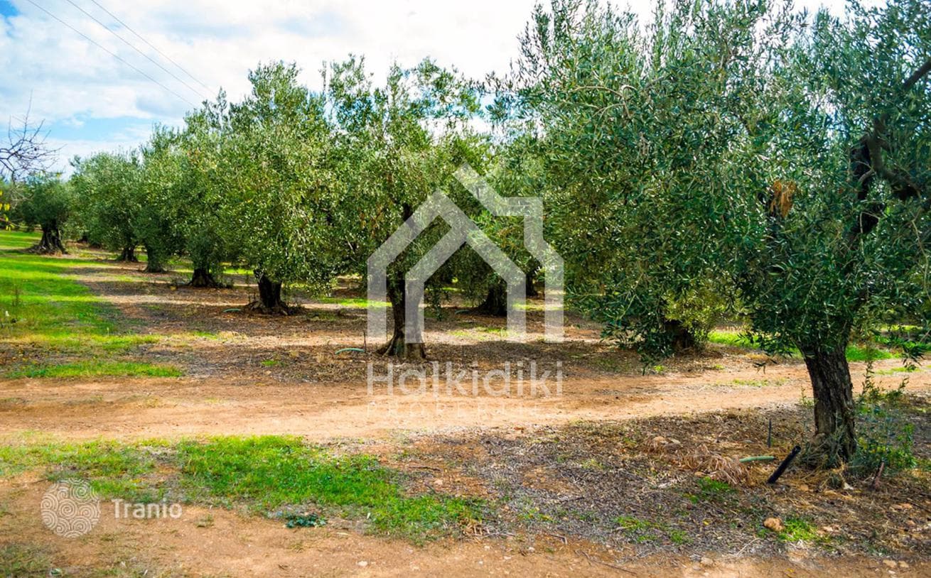5,500 m² Land Plot Near the Sea in Sithonia, Greece