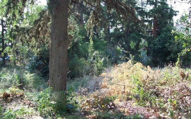 Land Plot in Thessaloniki, Greece, photo 4