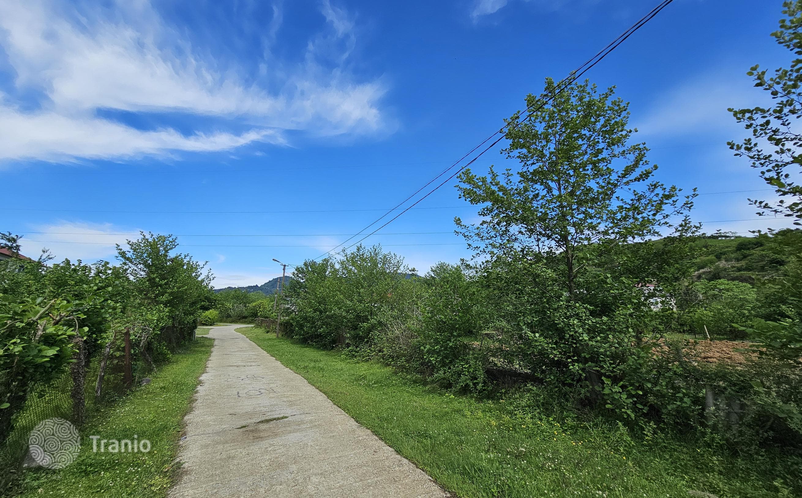 Non-Agricultural Land Plot with House Project in Chakvi, photo 4