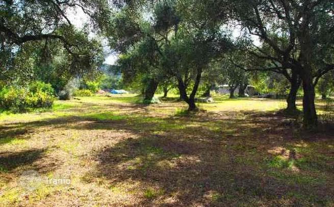 5,800 m² Land Plot in Roda, Corfu, photo 4