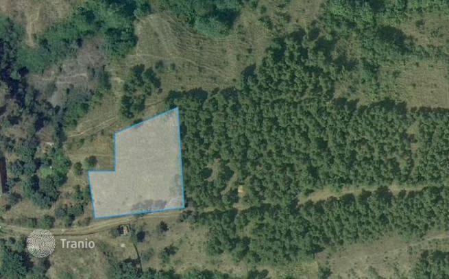 Land Plot in Old Tbilisi, Tbilisi, photo 4
