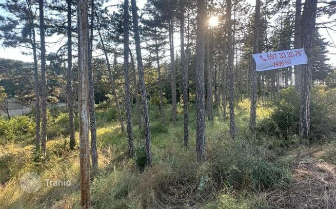 Land Plot in Tbilisi