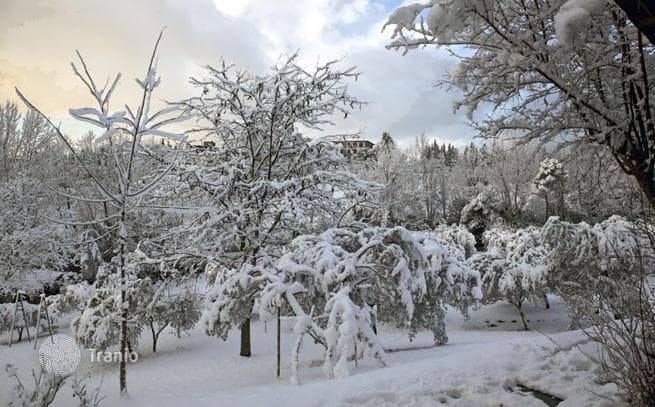 Exclusive Villa in Fiesole, Florence, photo 4