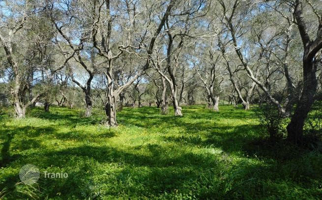 Land Plot in Vitilades, Corfu