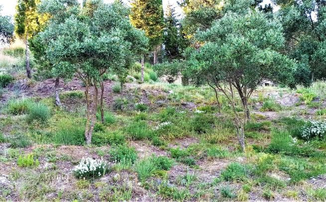 Land Plot in Trumbetas, Corfu, photo 5