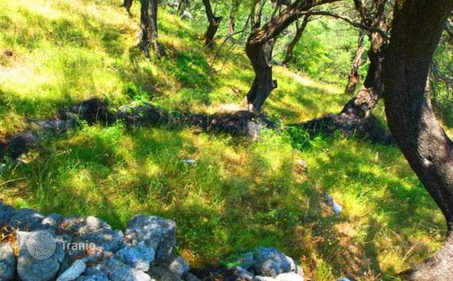 5,600 m² Land Plot with Sea View in Viglatura, Corfu, photo 2