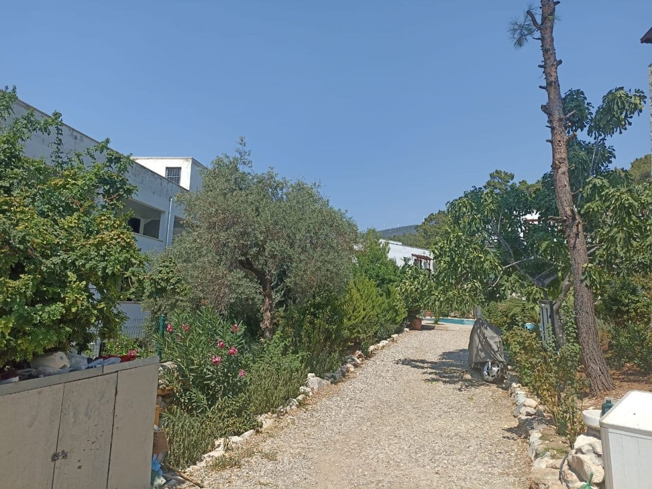 3-Bedroom Apartment in Didim, photo 5