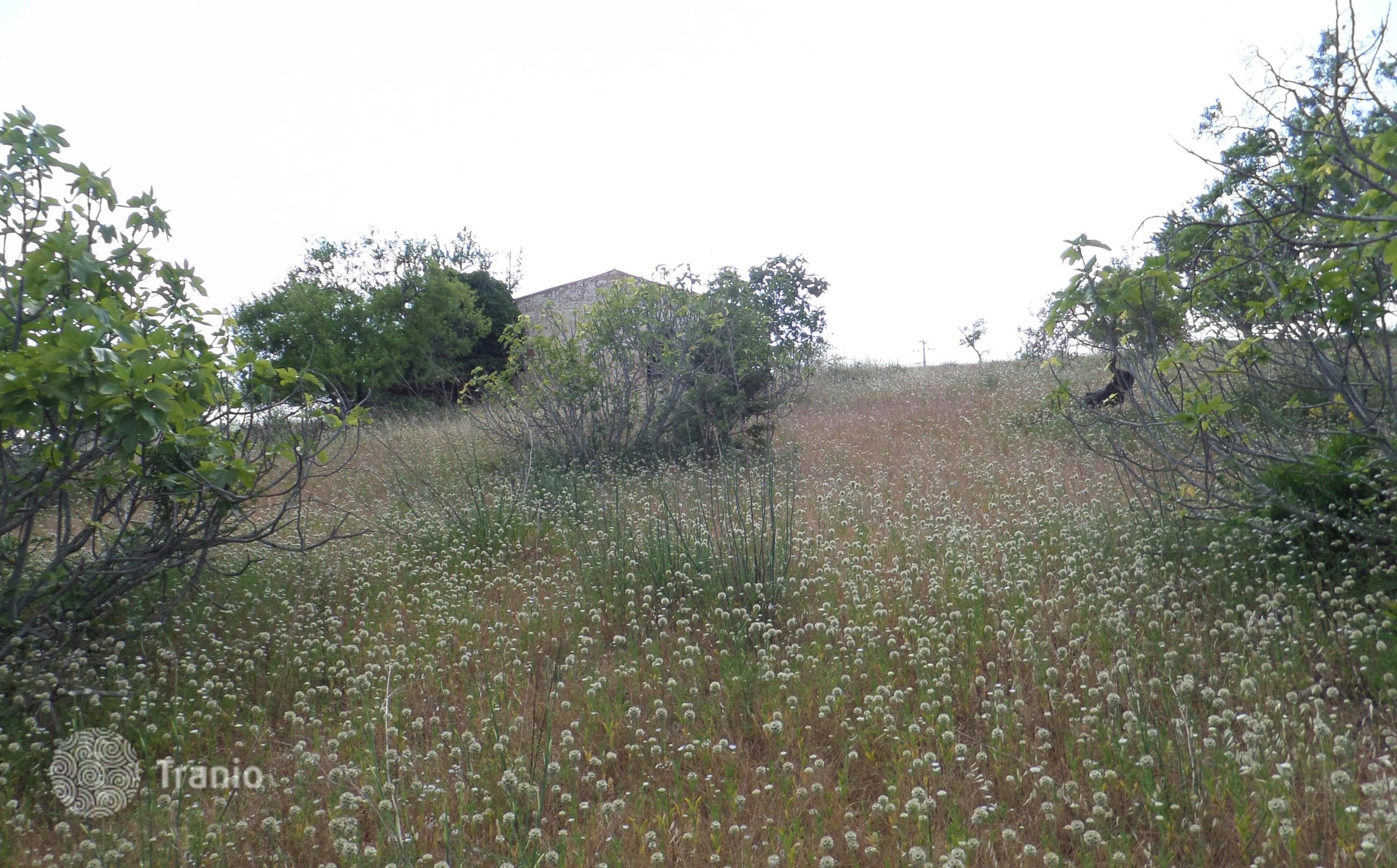 Land Plot in Albufeira, Portugal, photo 2