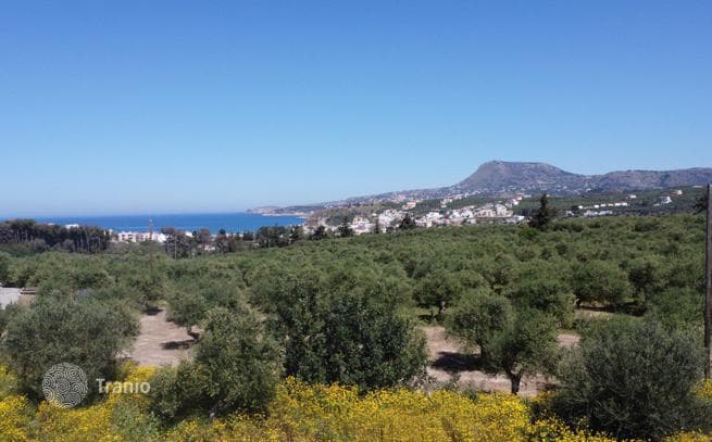 Land Plot with Olive Grove in Kalivesi, Crete