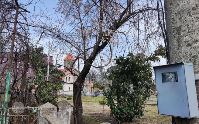 Большой дом в курортном городке Кобулети недалеко от моря, фото 4