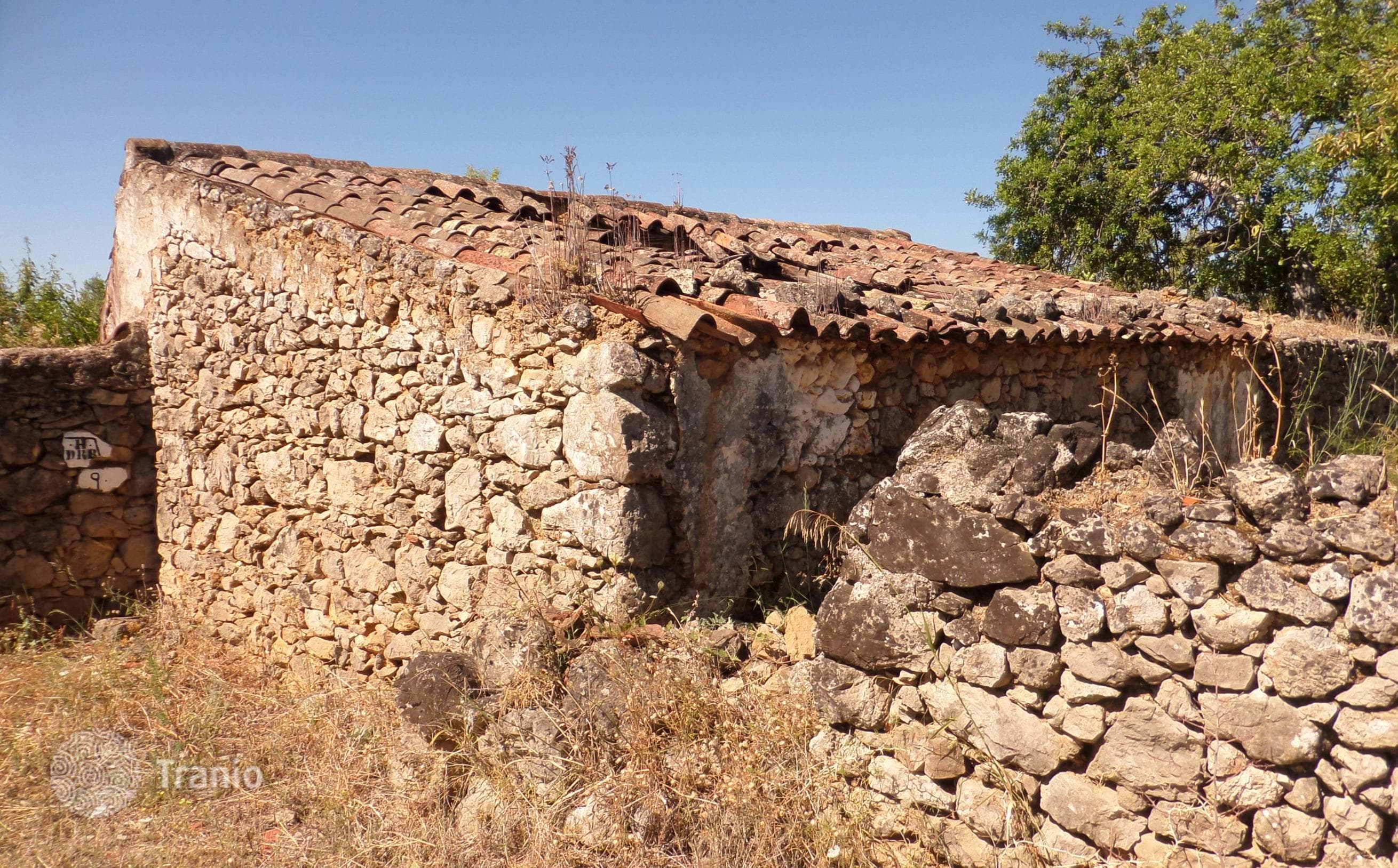 Land Plot in São Brás de Alportel, photo 3