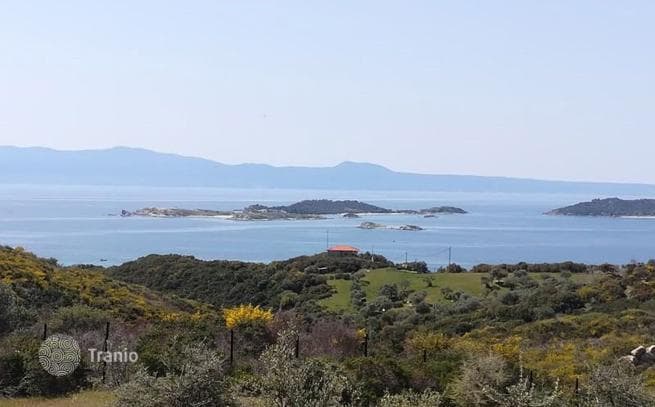 Land Plot with Olive Grove and Sea Views in Mount Athos, Halkidiki, photo 2
