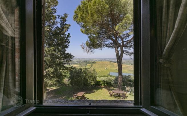 Villa with Two Guest Houses, Olive Groves and Vineyards in Castelfiorentino, photo 5