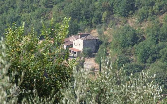 625 m² Villa in Pontassieve, Italy, photo 3