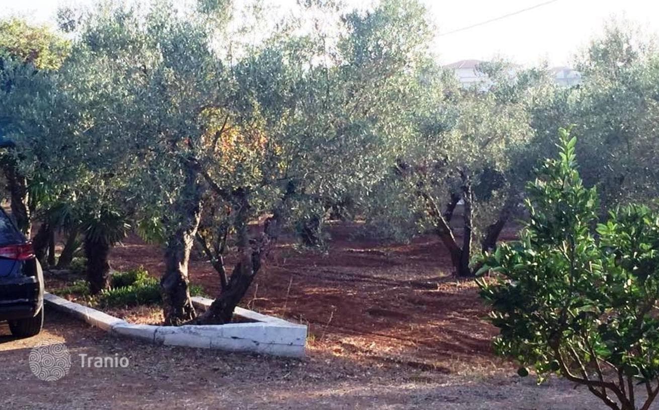 Land Plot with Sea View in Kassandra, photo 2