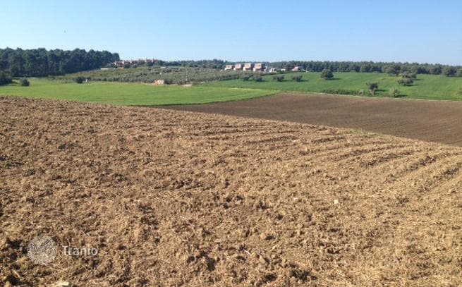 Land Plot with Sea View in Kassandra, Greece, photo 4