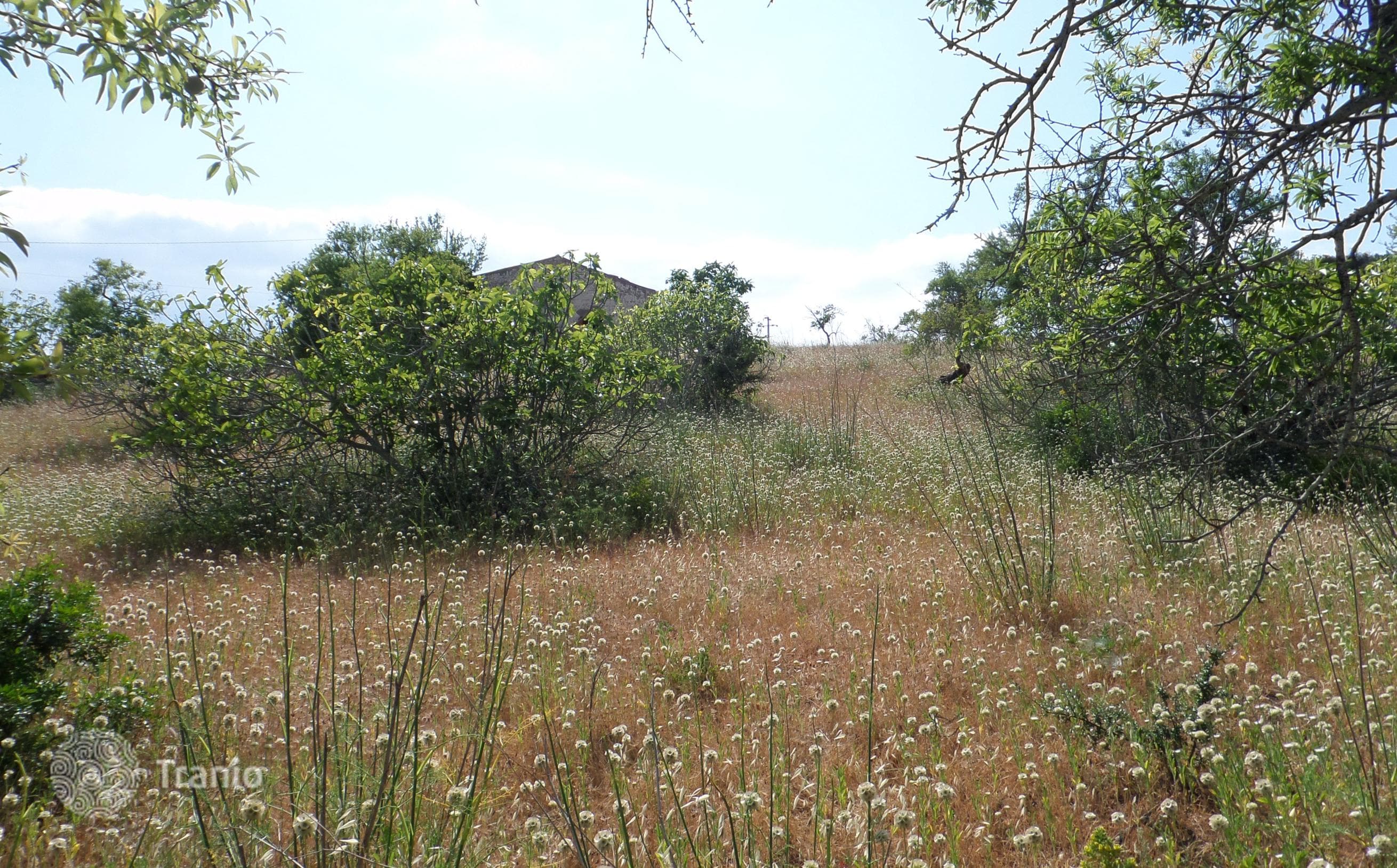 Land Plot in Albufeira, Portugal, photo 4